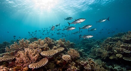 Fototapeta premium 水面から降り注ぐ眩しい太陽光が青い海中をドラマチックに照らし色彩豊かなサンゴ礁が広がる神秘的な海底で銀色の魚たちが群れをなし優雅に泳ぎ回る壮大な水中風景. AI Generated