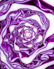 Obraz premium Purple Cabbage Spiral Pattern Macro Texture 紫キャベツの渦構造マクロテクスチャ