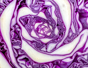 Obraz premium Purple Cabbage Spiral Pattern Macro Texture 紫キャベツの渦構造マクロテクスチャ