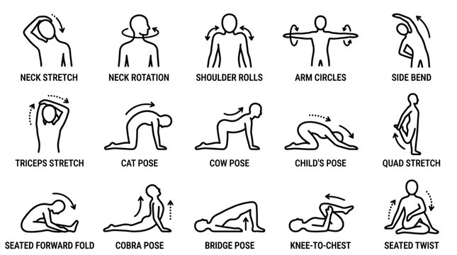 Minimalist line icons showing stretching and yoga poses for office workers, ideal for corporate health programs, workplace ergonomics guides and employee wellness presentations