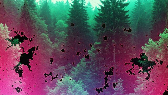 Psychedelic forest landscape with distressed film effect.