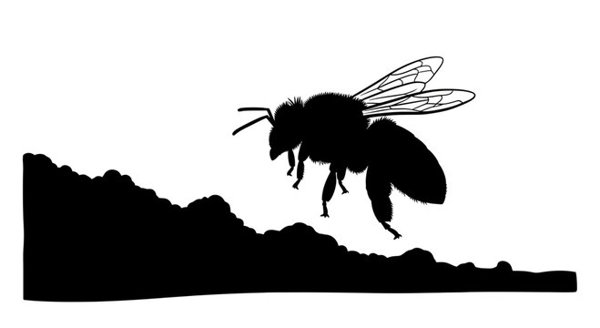 Black bee silhouette flying above textured terrain vector illustration