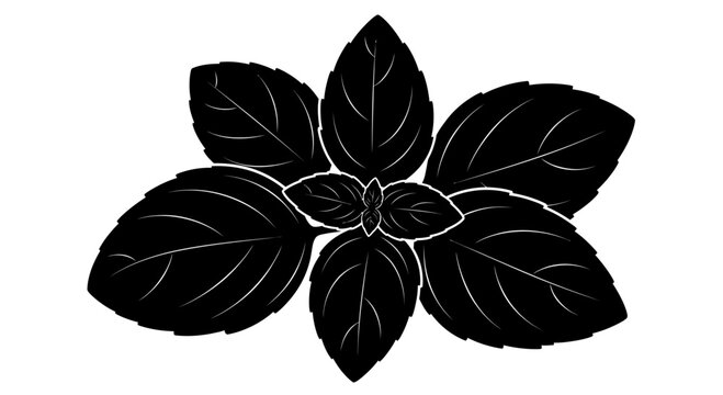 Black silhouette vector illustration of fresh basil leaves