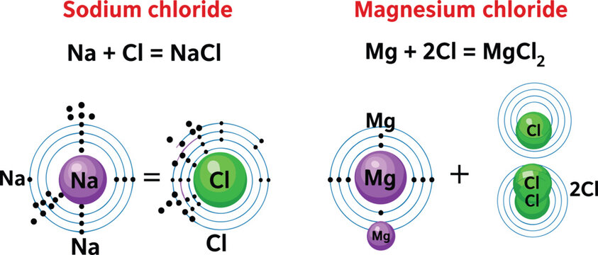 Ionic bonding diagram for Sodium chloride and Magnesium chloride featuring atomic Bohr models and balanced chemical equations in a flat vector style