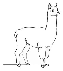 Fototapeta premium Minimalist continuous line art alpaca animal icon. Generative AI