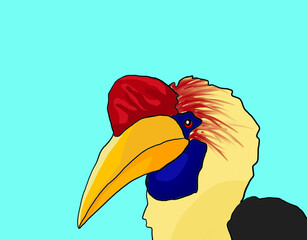 vector illustration of a hornbill  © Enggar