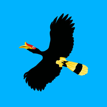 Illustration of a flying hornbill