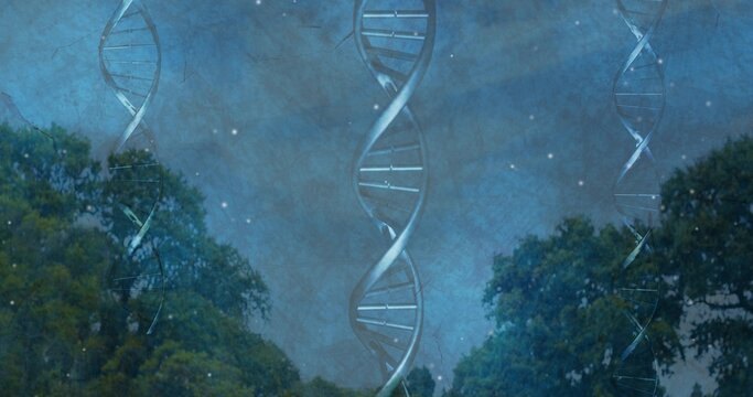 Emerging overlay animating central DNA helix above trees under starry sky, linking nature science