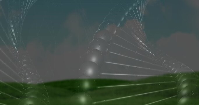 Arching two translucent DNA-like helices stretching across grassy field, showing glossy spheres