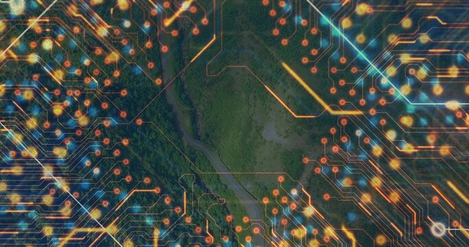 Vertical video: Showing center green clearing with narrow stream and neon circuit nodes from above