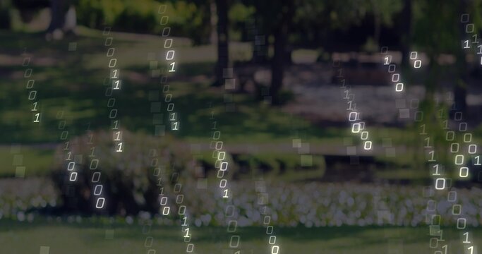 Falling translucent binary digit streams overlaying grassy public park scene, with white flowers