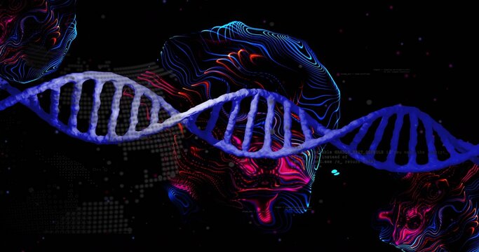 Stretching double helix DNA strand floating in dark virtual space, showing neon contours, code
