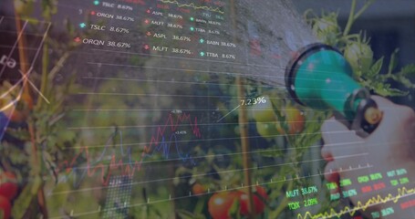 Spraying hand in light cuff holding green nozzle at garden tomatoes stock overlay 7 © vectorfusionart