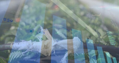 Displaying frayed white cloth wrapped around dark rod in garden, overlaying blue bar charts © vectorfusionart