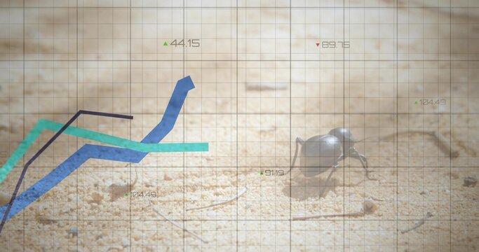 Crawling beetle moving on sand, showing grid and teal blue charts and beetle shadow, copy space