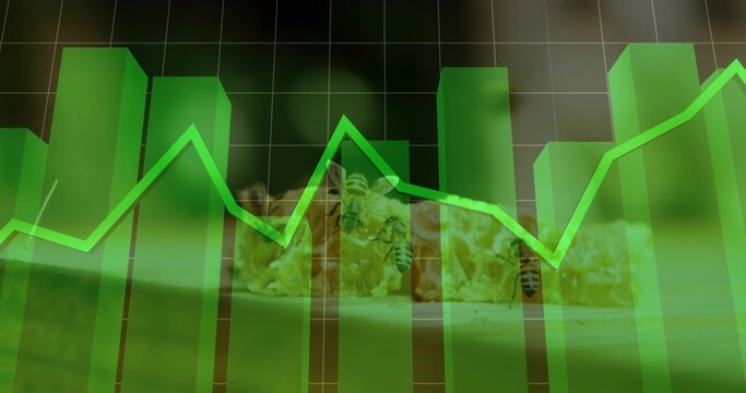 Displaying 3D green bar chart and neon-green line graph over honeycomb texture in studio, with bees