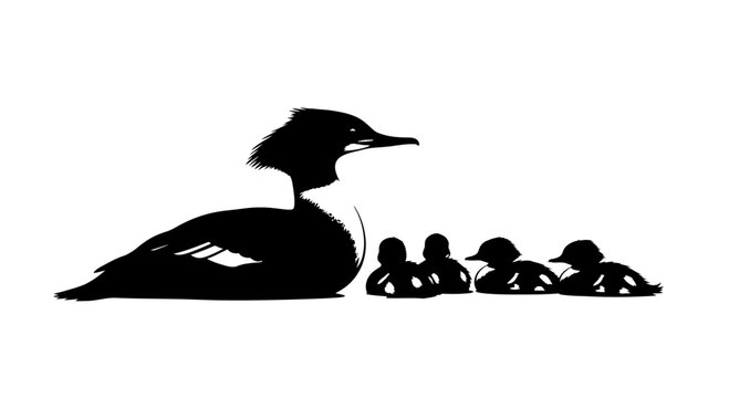 Merganser Duck and Ducklings Silhouette Vector Illustration