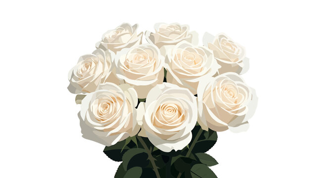 Elegant white rose bouquet vector illustration on white background