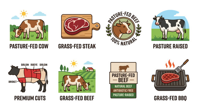 Pasture fed beef and grass fed steak cuts illustration set