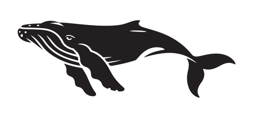 Humpback whale black and white vector silhouette on white background illustration. © MD.RAHIM