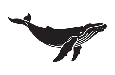 Humpback whale black and white vector silhouette on white background illustration. © MD.RAHIM