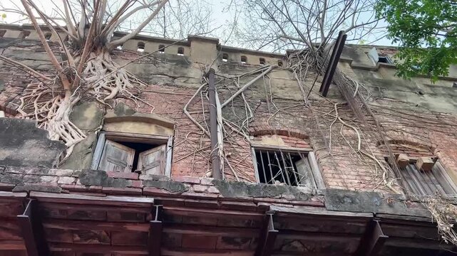 Ruins of an old Bengali house covered in thick banyan roots; a hauntingly beautiful example of nature dominating man-made structures in India