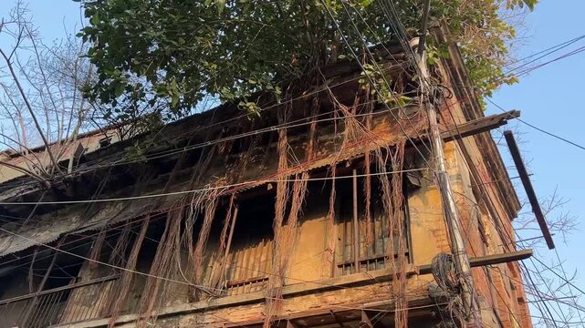 The ruins of an abandoned Bengali mansion in West Bengal, completely enveloped by the sprawling roots of ancient banyan trees.