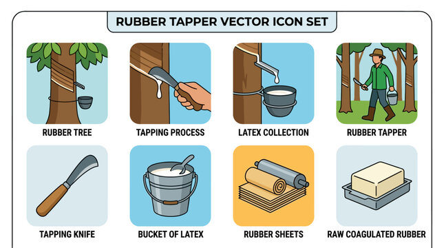 Rubber tapper vector icons show rubber production process steps and tools