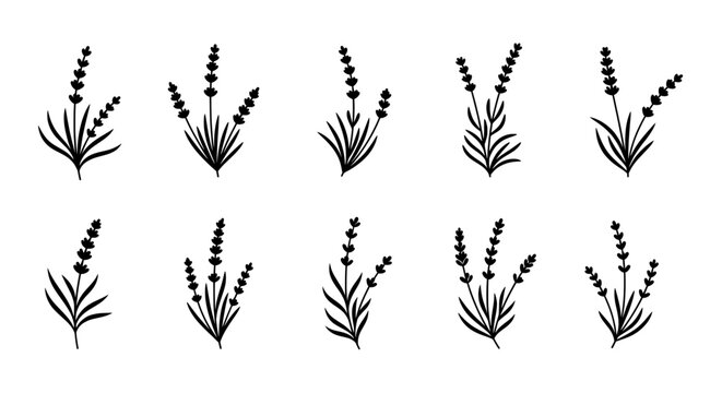 Lavender icon set &ndash; vector silhouettes isolated on a transparent background