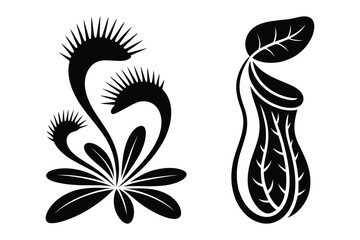 Collection of carnivorous plants: venus flytrap and pitcher plant with predator © Sadek