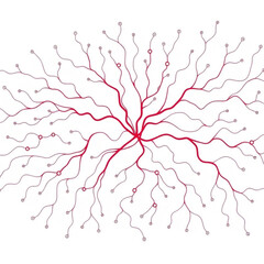 Fototapeta premium Abstract Red Organic Network Lines Radial Pattern on White