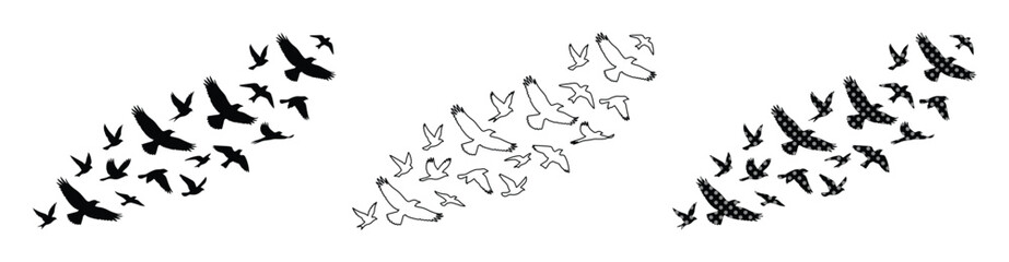 Fototapeta premium Flying birds silhouette set, black eagle and hawk flock vector icons, soaring bird of prey outlines for wildlife and nature design