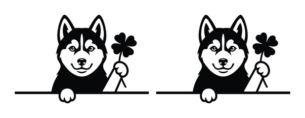 Siberian Husky dog holding four leaf clover, black and white husky vector, lucky pet illustration © ArsiStudio