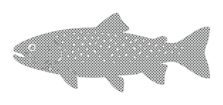 Vintage trout fish illustration, halftone dot pattern salmon vector, retro fishing logo icon