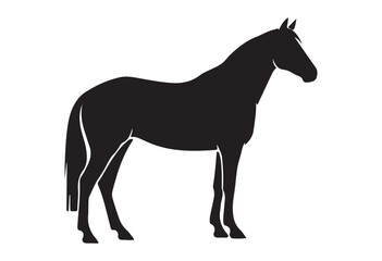 Fototapeta premium Horse silhouette isolated on white background