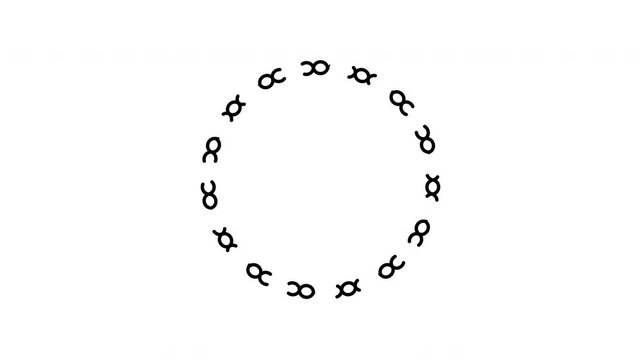 Black Doodle Scribble Circle Animation Isolated on White Background Overlay Highlight Effect 4K