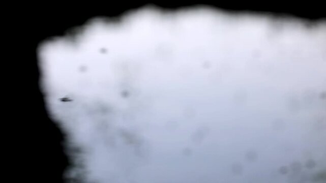 Slow Motion Macro Shot of mosquitoes flying near a window on a cloudy day, capturing their erratic movements and patterns against the diffused light at 180 fps High quality footage