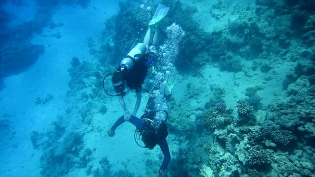 Two scuba divers exploring colorful coral reef underwater with sunlight shining through water surface.