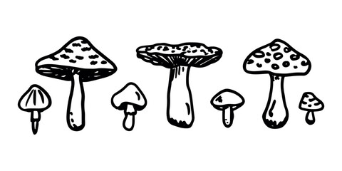 Hand drawn mushroom doodle set Botanical illustration Cute autumn mushroom Healthy eco food Organic vegetarian food For stickers, greeting card, design, print, packaging, decor, kids books © Daria Shane