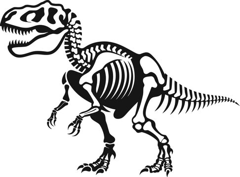 black and white t-rex dinosaur skeleton vector illustration