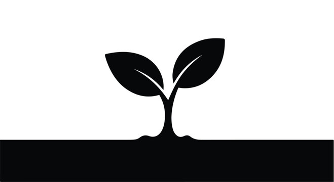 Sprout grows from the dark soil representing nature and the beginning of a sustainable life cycle.