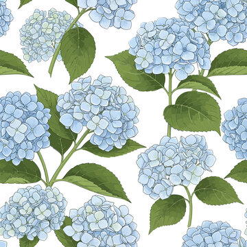 Delicate hydrangea floral pattern a seamless botanical illustration
