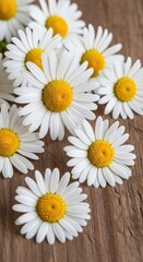 Obraz premium Beautiful Daisies Blooming on a Rustic Wooden Surface.