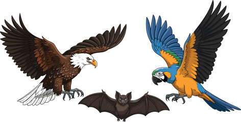 Fototapeta premium Realistic flying animal illustration featuring eagle bat and macaw detailed wingspan wildlife vector composition for nature design