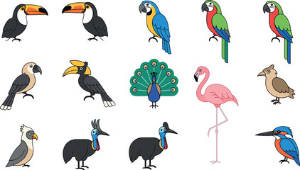 Colorful tropical bird icon set featuring toucan macaw parrot flamingo peacock hornbill cassowary vector collection for wildlife design © ALOMGIR