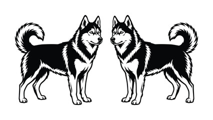 Siberian Husky dog vector illustration, black and white husky breed profile, standing sled dog mascot graphics for logo design © HayeGareebi