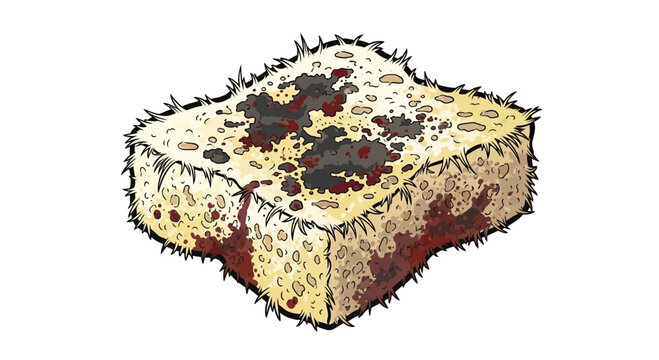 Moldy bread slice with dark spots and fuzzy edges