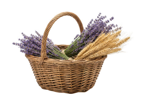 Rustic woven wicker basket overflowing with bundles of fresh purple lavender flowers and dried golden wheat stalks, showcasing natural isolated transparent background image