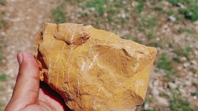 Close Up Of Yellow Gold Bearing Rock With Quartz Veins