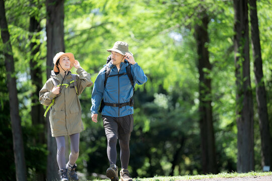 新緑の春の森の中を歩く夫婦のアウトドア、登山やトレッキングなどの運動イメージ全身